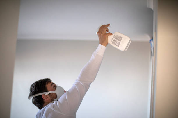 Mold Testing and Removal in West Perrine, FL