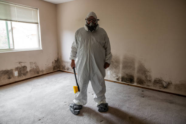 Crawl Space Mold Removal in West Perrine, FL